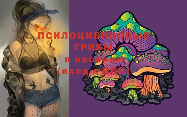 a pvp Алексин