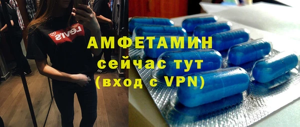 молекула духа Алексеевка