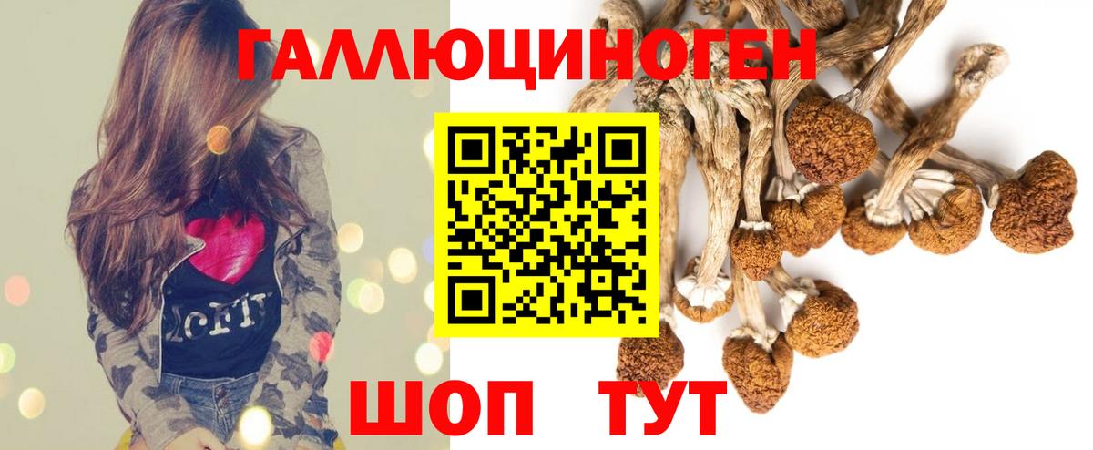 Галлюциногенные грибы MAGIC MUSHROOMS  Вход с VPN  Ярцево 