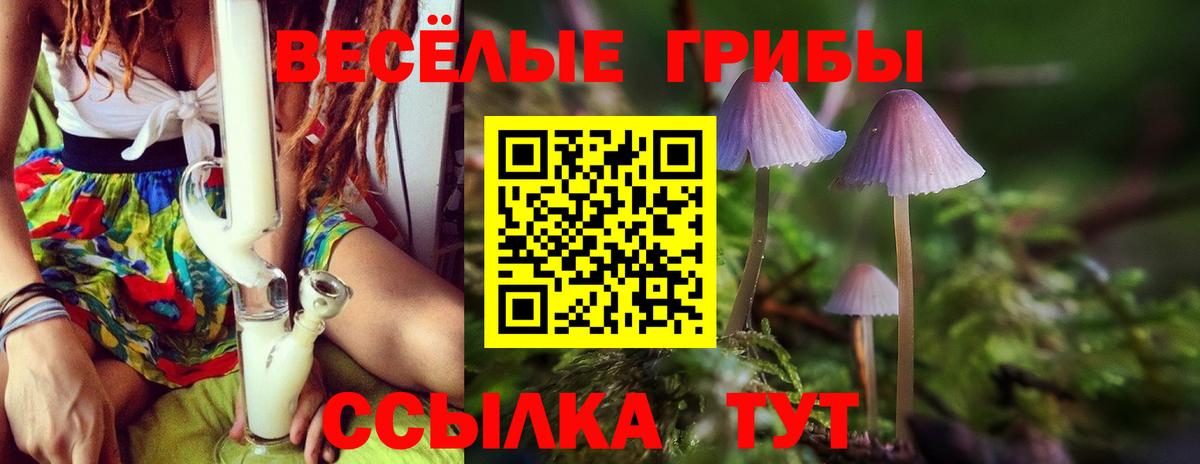 Псилоцибиновые грибы прущие грибы Ярцево